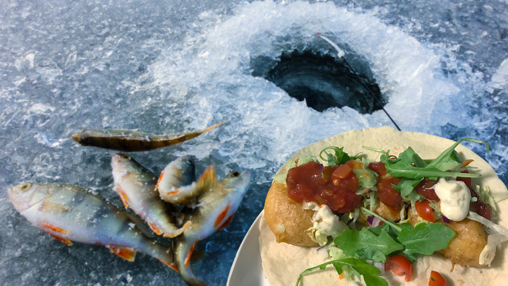 freshly caught fish
