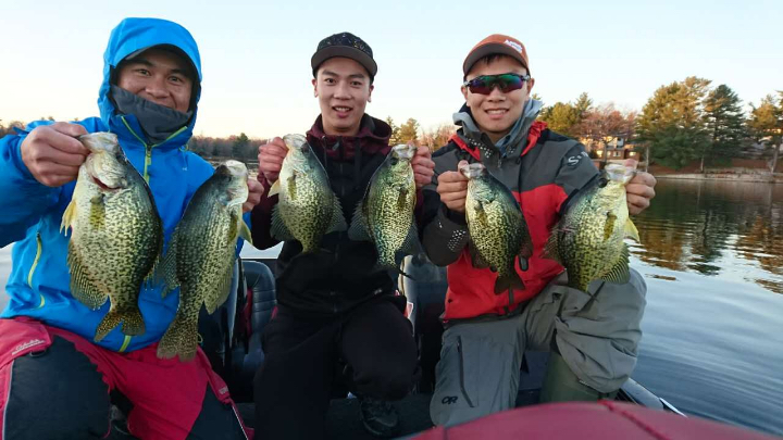 freshly caught fish